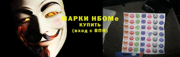 сатива Балахна